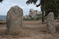 Sartenais, im Menhirwald von Cicali 4.JPG